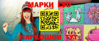 индика Заводоуковск