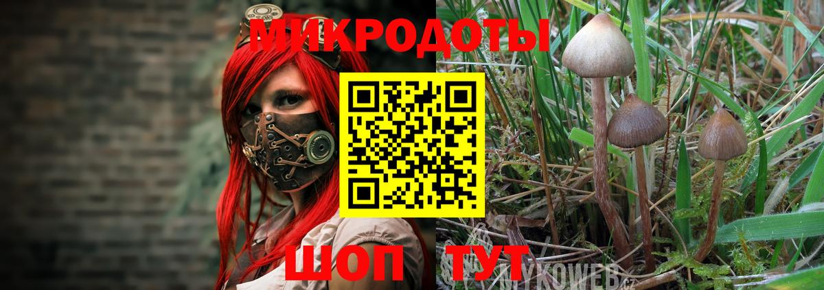 Галлюциногенные грибы Cubensis  Псилоцибиновые грибы Psilocybine cubensis  Георгиевск  Вход с VPN 
