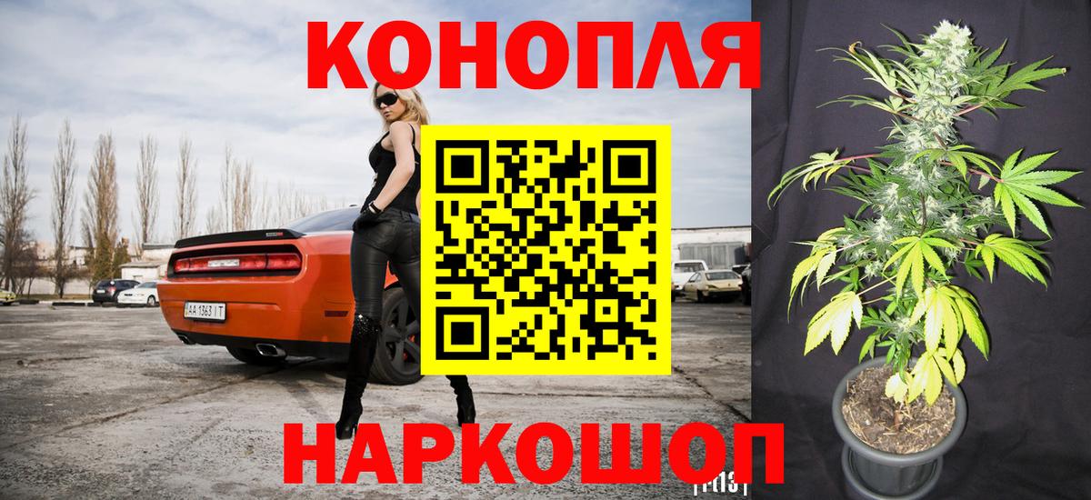 Канабис конопля Георгиевск